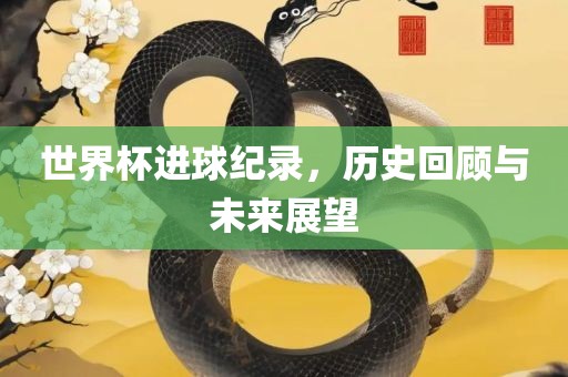 世界杯进球纪录，历史回顾与未来展望