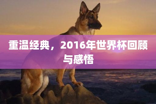 重温经典，2016年世界杯回顾眉山市正发家政服务有限公司与感悟