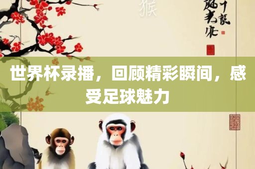 世界杯录播，回顾精彩瞬间，感受足球魅力眉山市正发家政服务有限公司