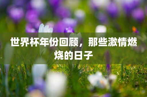 世界杯年份回顾，那些激情燃烧的日子