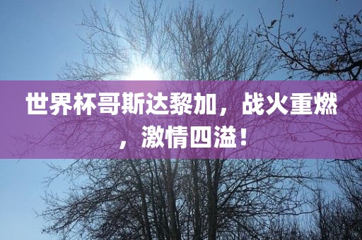世界杯哥斯达黎加，战火重燃，激情四溢！