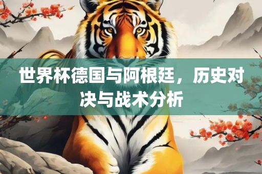 世界杯德国与阿根廷，历史对决与战术分析