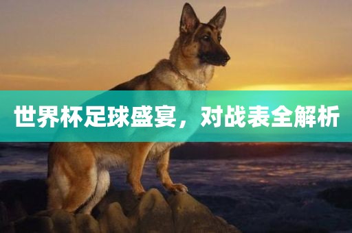 对战表解析