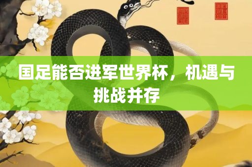 国足能否进军世界杯，机遇与挑战并存