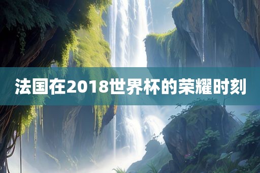 法国在2018世界杯的荣耀时刻眉山市正发家政服务有限公司
