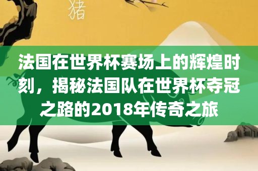 法国在世界杯赛场上的辉煌时刻，揭秘法国队在世界杯夺冠之路的2018年传奇之旅