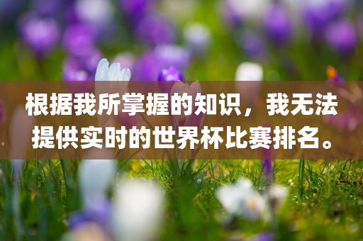 根据我所掌握的知识，我无法提供实时的世界杯比赛排名。