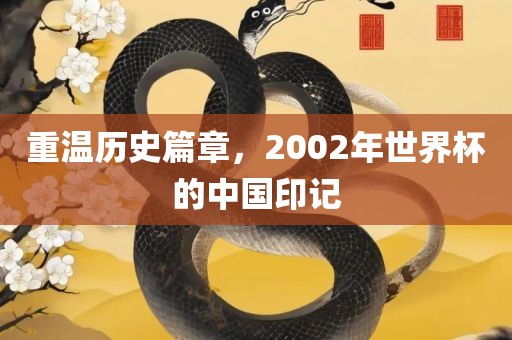 重温历史篇章，2002年世界杯的中国印记眉山市正发家政服务有限公司