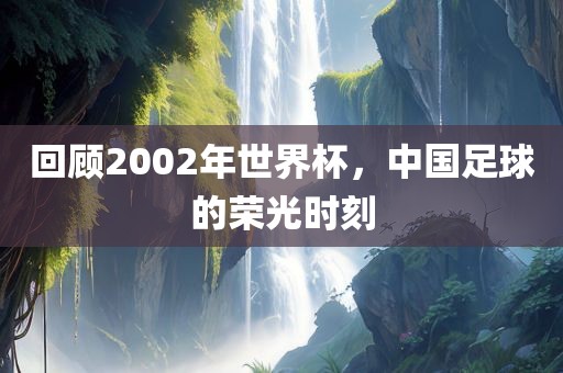 回顾2002年世界杯，中国足球的荣眉山市正发家政服务有限公司光时刻