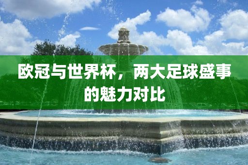 欧冠与世界杯，两大足球盛事的魅力对比眉山市正发家政服务有限公司