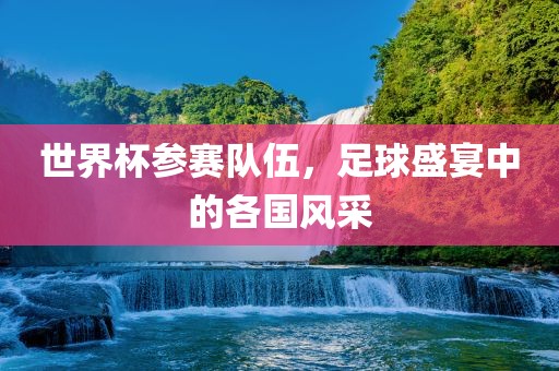 世界杯参赛队伍，足球盛宴中的各国风采