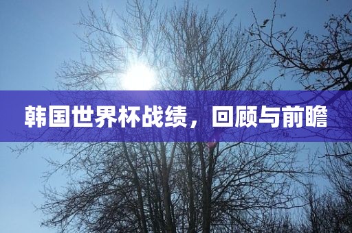 韩国世界杯战绩，回顾与前瞻