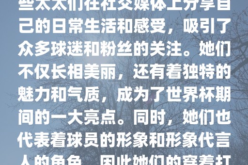 世界杯太太团是指参与世界杯的球队中球员的妻子们组成的团体。这些太太们在世界杯期间备受关注，她们的出现也为比赛增添了不少色彩和看点。这些太太们在社交媒体上分享自己的日常生活和感受，吸引了众多球迷和粉丝的关注。她们不仅长相美丽，还有着独特的魅力和气质，成为了世界杯期间的一大亮点。同时，她们也代表着球员的形象和形象代言人的角色，因此她们的穿着打扮和言行举止备受关注。总之，世界杯太太团是世界杯期间不可或缺的一部分，她们的出现也为球迷们带来了更多的观赏乐趣。