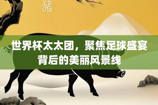 世界杯太太团，聚焦足球盛宴背后的美丽风景线