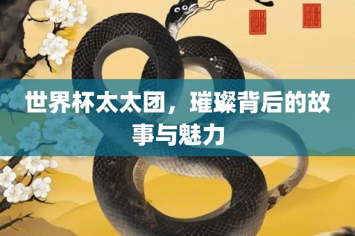 世界杯太太团，璀璨背后的故事与魅力