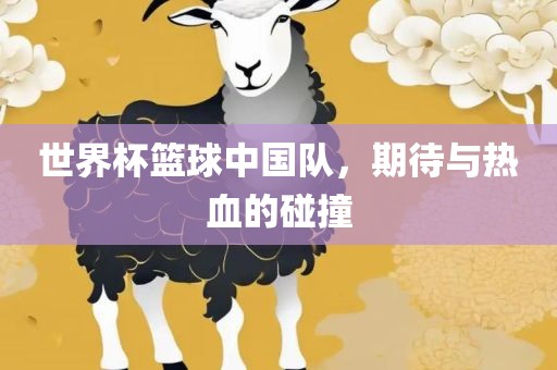 世界杯篮球中国队，期待与热血的碰撞
