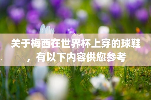 关于梅西在世界杯上穿的球鞋，有以下内容供您参考