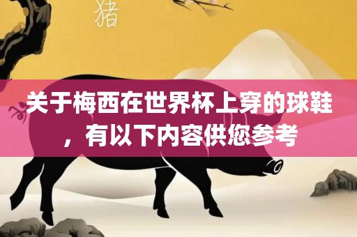 关于梅西在世界杯上穿的球鞋，有以下内容供您参考