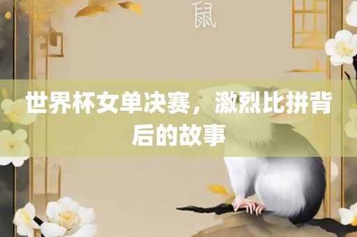 世界杯女单决赛，激烈比拼背后的故事