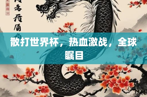 散打世界杯，热血激战，全球瞩目