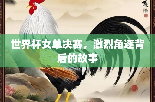 世界杯女单决赛，激烈角逐背后的故事眉山市正发家政服务有限公司