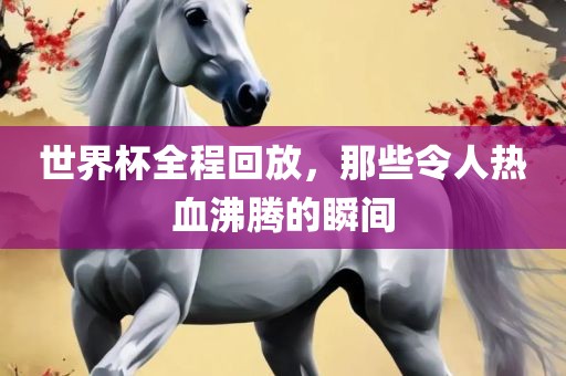 世界杯全程回放，那些令人热血沸腾眉山市正发家政服务有限公司的瞬间