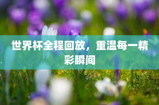 世界杯全程回放，重温每一精彩瞬间