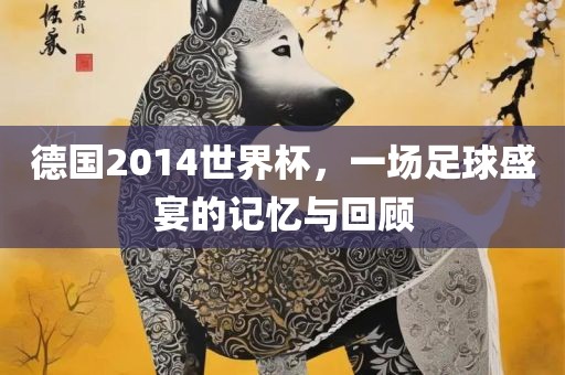 德国2014世界杯，一场足球盛宴的记忆与回顾