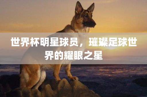 世界杯明星球员，璀璨足球世界的耀眼之星