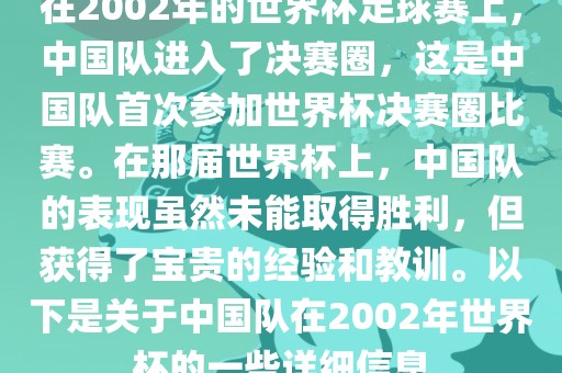 在2002年的世界杯足球赛上，中国队进入了决赛圈，这是中国队首次参加世界杯决赛圈比赛。在那届世界杯上，中国队的表现虽然未能取得胜利，但获得了宝贵的经验和教训。以下是关于中国队在2002年世界杯的一些详细信息