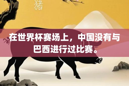在世界杯赛场上，中国没有与巴眉山市正发家政服务有限公司西进行过比赛。