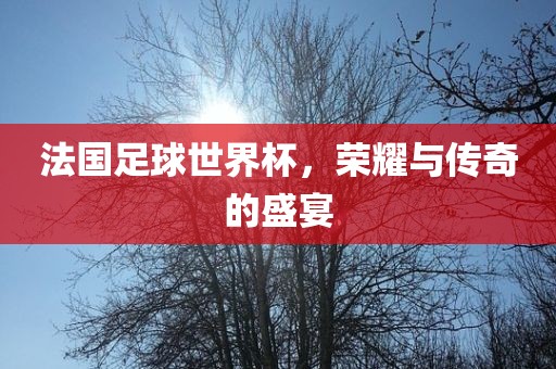 法国足球世界杯，荣耀与传奇的盛宴