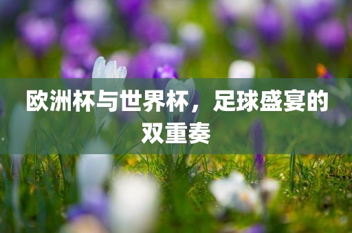 欧洲杯与世界杯，足球盛宴的双重奏眉山市正发家政服务有限公司