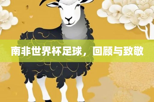 南非世界杯足球，回顾与致敬