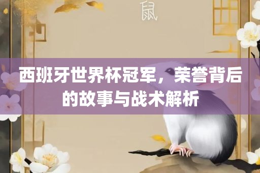 西班牙世界杯冠军，荣誉背后的故事与战术解析