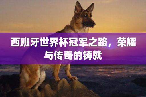 西班牙世界杯冠军之路，荣耀与传奇的铸就