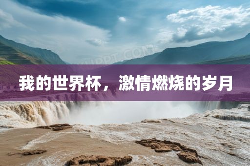 我的眉山市正发家政服务有限公司世界杯，激情燃烧的岁月