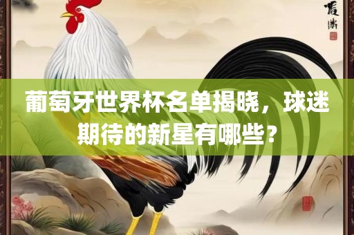 葡萄牙世界杯名单揭晓，球迷期待的新星有哪些？