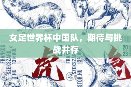 女足世界杯中国队，期待与挑战并存眉山市正发家政服务有限公司
