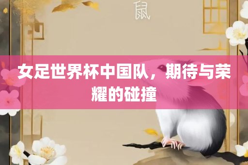 女足世界杯中国队，期待与荣耀的碰撞
