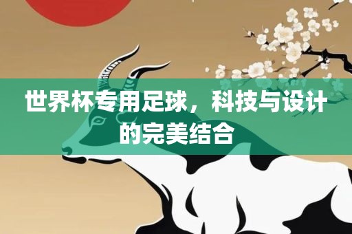世界杯专用足球，科技与设计的眉山市正发家政服务有限公司完美结合