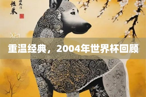 重温经典，2004年世界杯回顾眉山市正发家政服务有限公司
