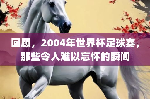 回顾，2004年世界杯足球赛，那些令人难以忘怀的瞬间