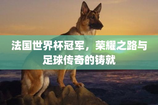 法国世界杯冠军，荣耀之路与足球传奇的铸就