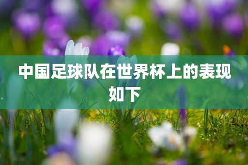 中国足球队在世界眉山市正发家政服务有限公司杯上的表现如下