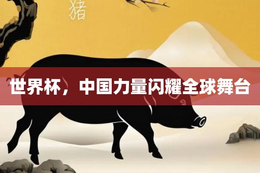 世界杯，中国力量闪耀全球舞台