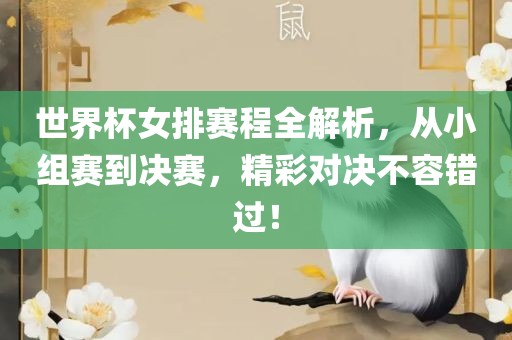 世界杯女排赛程全解析，从小组赛到决赛，精彩对决不容错过！