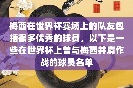 梅西在世界杯赛场上的队友包括很多优秀的球员，以下是一些在世界杯上曾与梅西并肩作战的球员名单