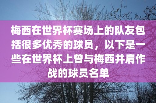 梅西在世界杯赛场上的队友包括很多优秀的球员，以下是一些在世界杯上曾与梅西并肩作战的球员名单