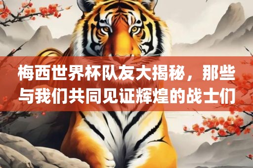梅西世界杯队友大揭秘，那些与我们共同见证辉煌的战士们